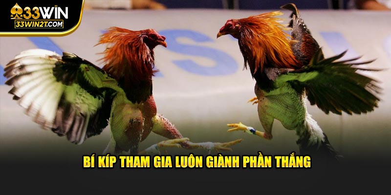 Bí kíp tham gia luôn giành phần thắng